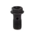 Brembo steel banjo bolt 10mm x 1.00 pitch Brembo steel banjo bolt 10mm x 1.00 pitch